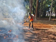 Imagem - Programa Amigos da Floresta reduz em mais de 75% incêndios florestais em áreas monitoradas