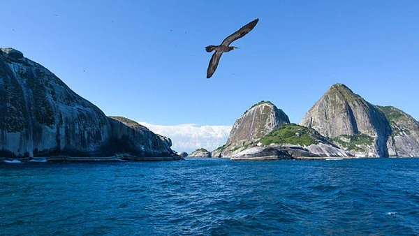 Assegurar a preservação legal desse ambiente garante a proteção do habitat da Begonia larorum e de outras espécies endêmicas