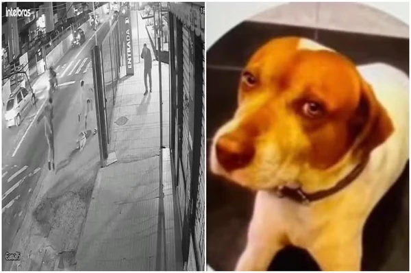 Polícia identifica soldado da PM como autor dos sete tiros que mataram cachorro caramelo
