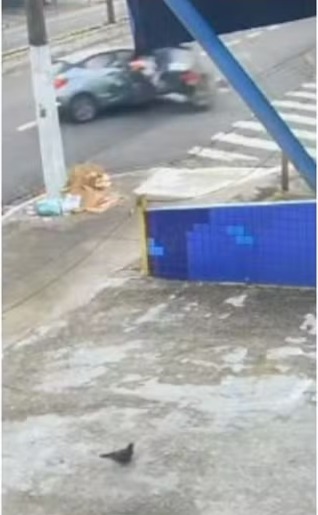 Turista alcoolizado entra na contramão, atropela e mata PM de folga por Reprodução 