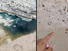 Imagem - Líquido azul e amarelo surge em praia de Salvador e peixes aparecem mortos