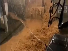 Imagem - Chuvas deixam 14 mortos em Juiz de Fora, e cidade decreta calamidade pública