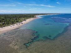 Imagem - Prefeitura de destino turístico na Bahia proíbe venda de garrafas 'long neck'