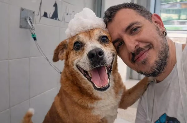 Cãozinho Gordo, o mais antigo em abrigo, é adotado e ganha uma família por Divulgação