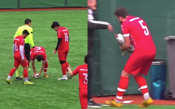 Gaivota foi atingida por bola