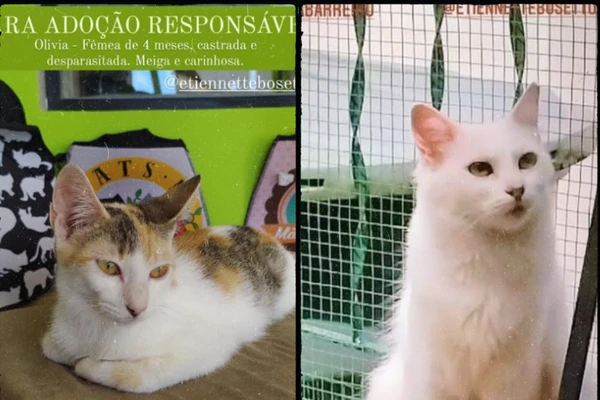 Instituto Patruska Barreiro  - Instagram: @institutopatruska por Instituto Patruska Barreiro