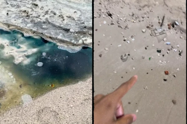 Líquido azul e amarelo surge em praia de Salvador e peixes aparecem mortos; Inema investiga contaminação