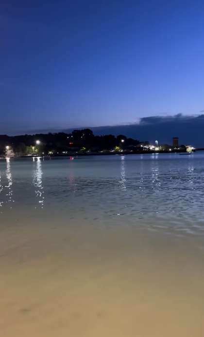 Líquido azul e amarelo surge em praia de Salvador e peixes aparecem mortos; Inema investiga contaminação por Reprodução 