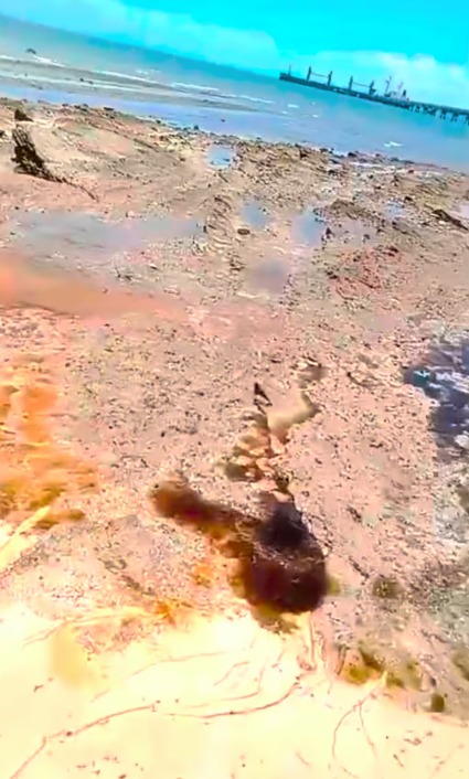 Líquido azul e amarelo surge em praia de Salvador e peixes aparecem mortos; Inema investiga contaminação por Reprodução 