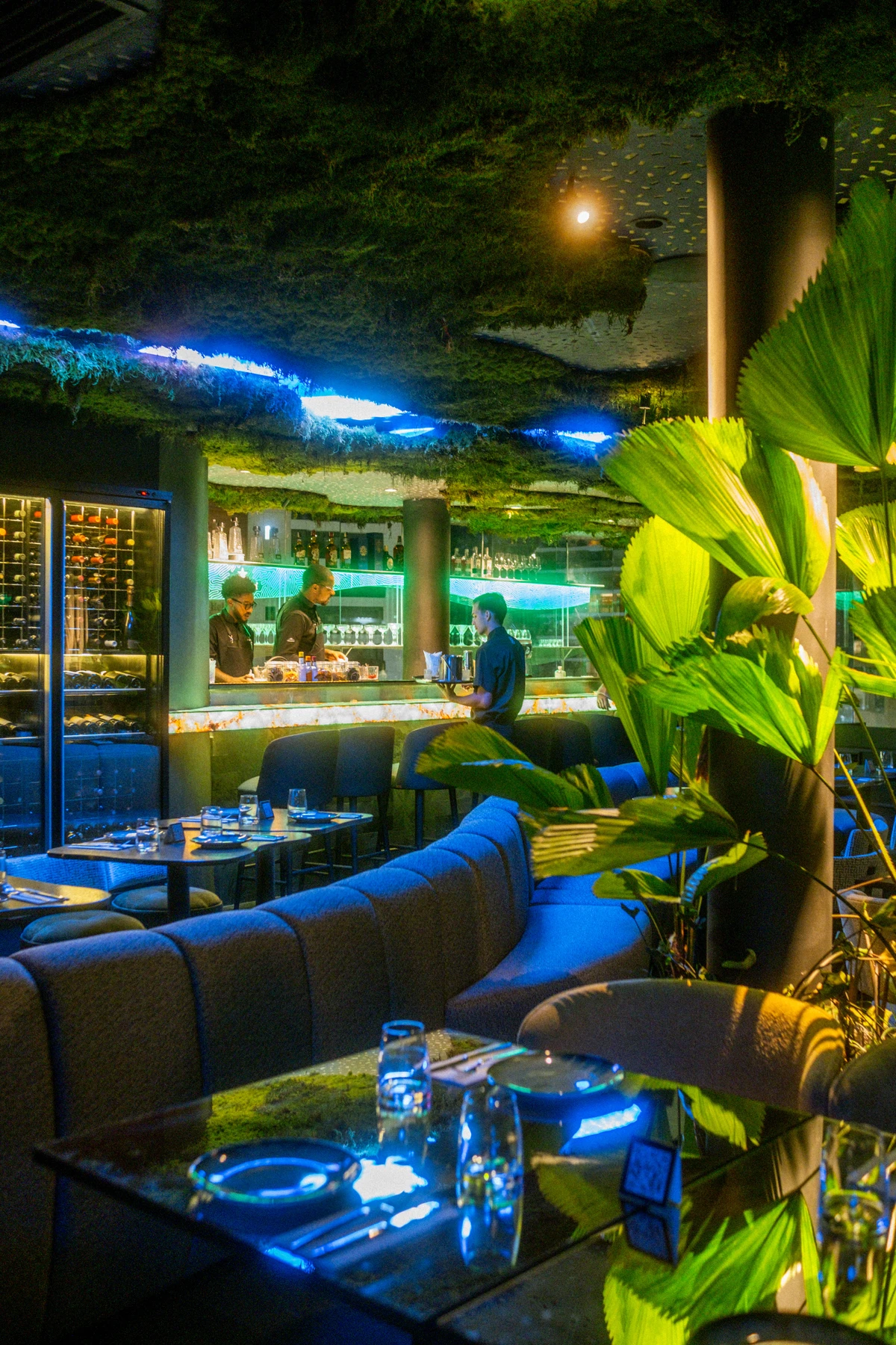 Morea Salvador elevou o conceito de restaurante asiático no Horto Florestal por Divulgação