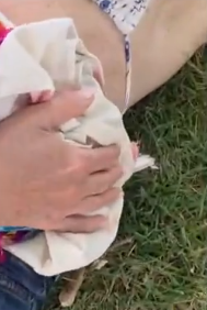 Turistas são baleadas no sul da Bahia por Reprodução