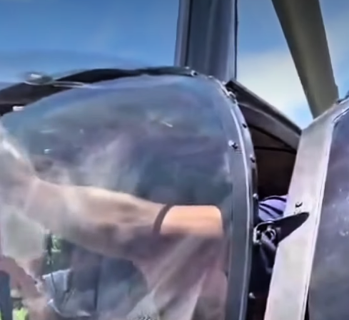 Turistas são baleadas no sul da Bahia por Reprodução