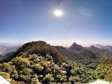 Imagem - Florestas reduzem calor e baixam temperatura do Rio de Janeiro em até 10°C