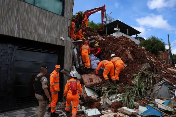 Chuvas causaram deslizamentos e mortes em Juiz de Fora por Tânia Rêgo/Agência Brasil