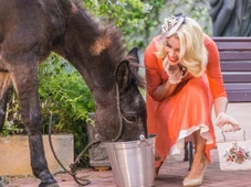Imagem - Sandra usa Policarpo em golpe e desperta a fúria de Candinho em 'Êta Mundo Melhor!' desta sexta (27)