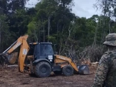 Imagem - Retroescavadeira usada para extração ilegal de madeira é apreendida em destino turístico da Bahia