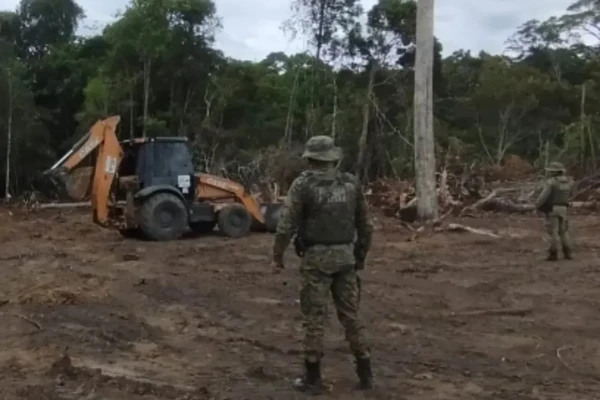 Crime ambiental em Porto Seguro por Divulgação