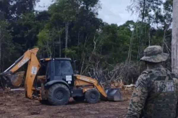 Crime ambiental em Porto Seguro