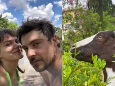 Imagem - Como é a casa de Sérgio Guizé e Bianca Bin, que tem cachoeira e até uma cabra