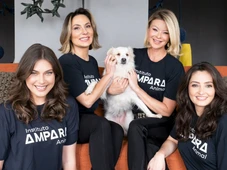 Imagem - Interações com animais se tornam aliadas das empresas para rotinas mais saudáveis