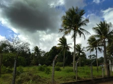 Imagem - Sob alerta laranja para chuvas intensas, Feira de Santana tem apagão e previsão de temporais