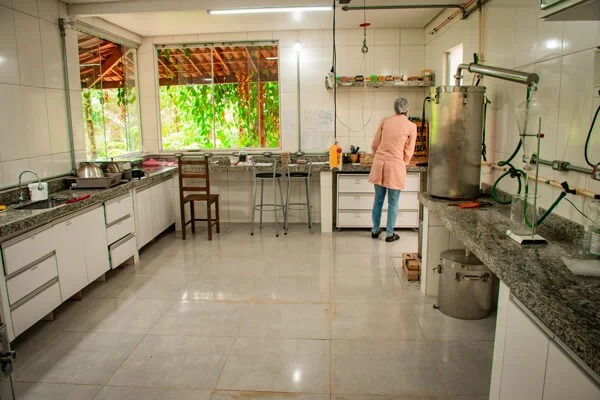 Associação Chapada Diamantina de Pacientes e Estudos da Medicina Canábica por Divulgação