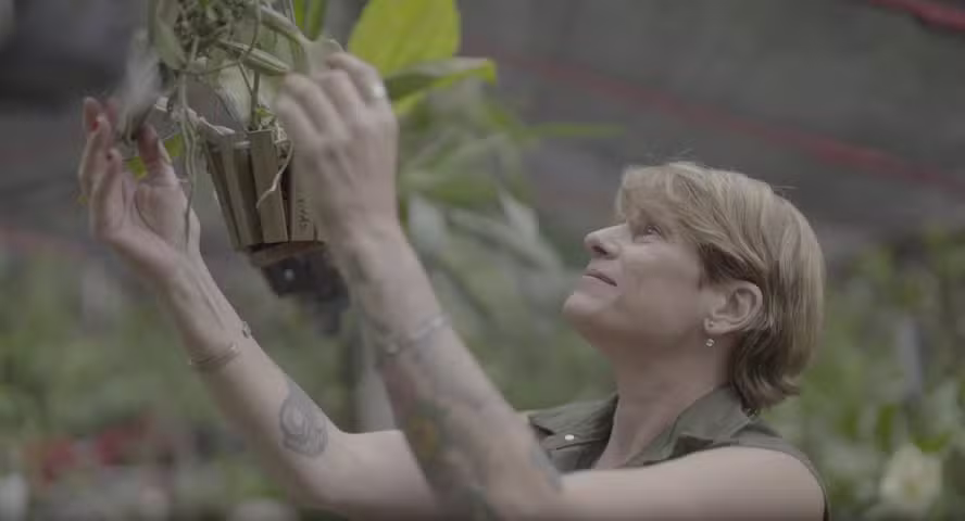 Ex namorada de Dinho conta que era para estar no avião que caiu há quase 30 anos por Divulgação