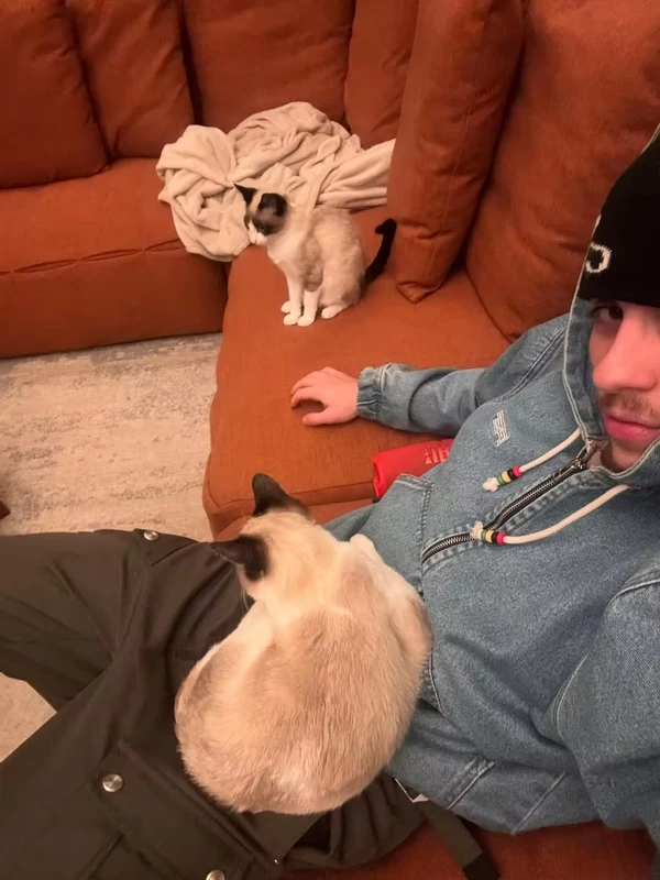 Juliano Floss vive com Marina Sena em apê em SP por Reprodução/Redes Sociais 