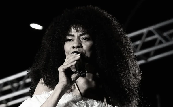 Morre a cantora Karina Nerys, do Malê Debalê