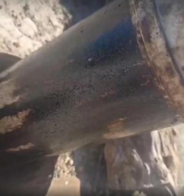 Descoberta está sendo investigada por Reprodução