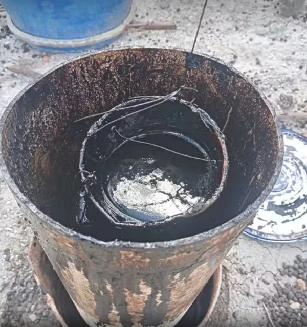 Descoberta está sendo investigada por Reprodução