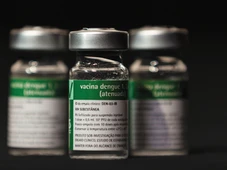 Imagem - Salvador inicia vacinação contra dengue com imunizante do Butantan; veja quem pode se vacinar