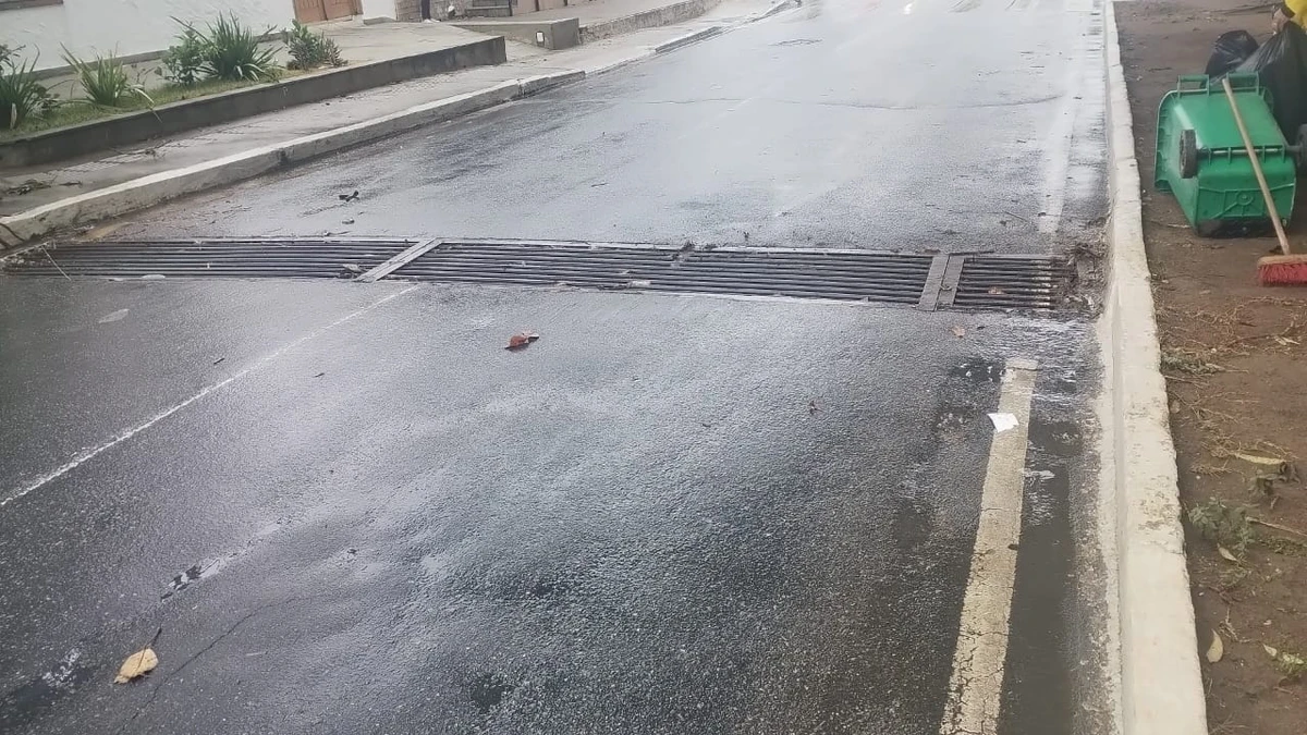 Olívia Flores por Divulgação