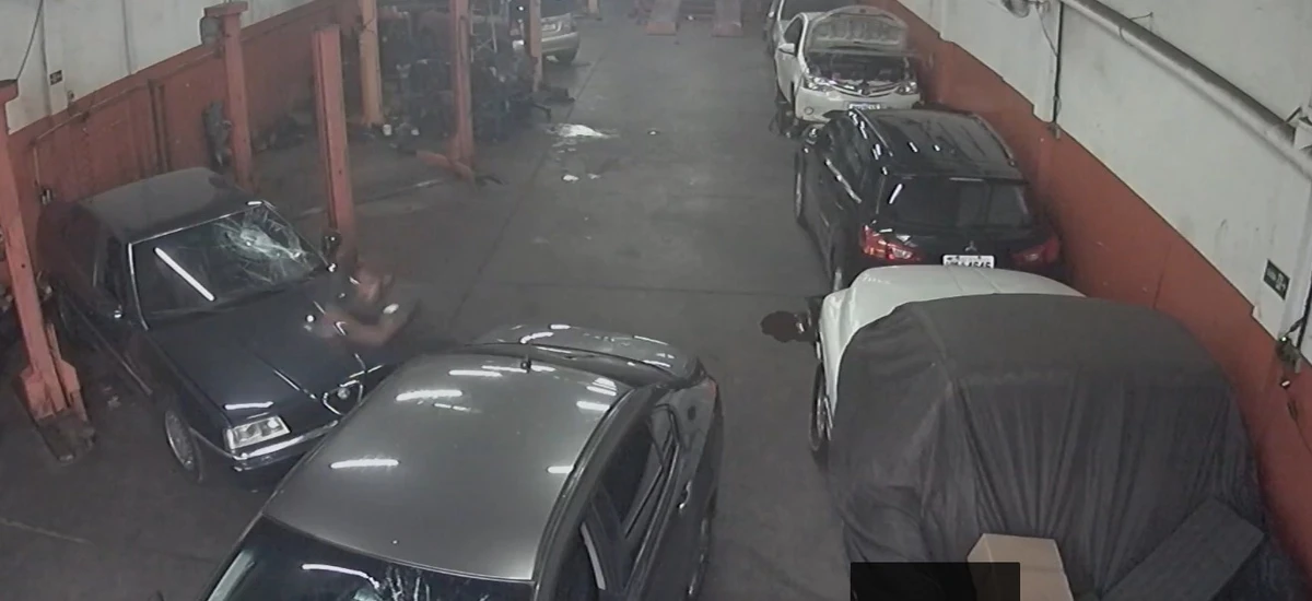 Lucas destruiu carros em oficina após briga por Reprodução