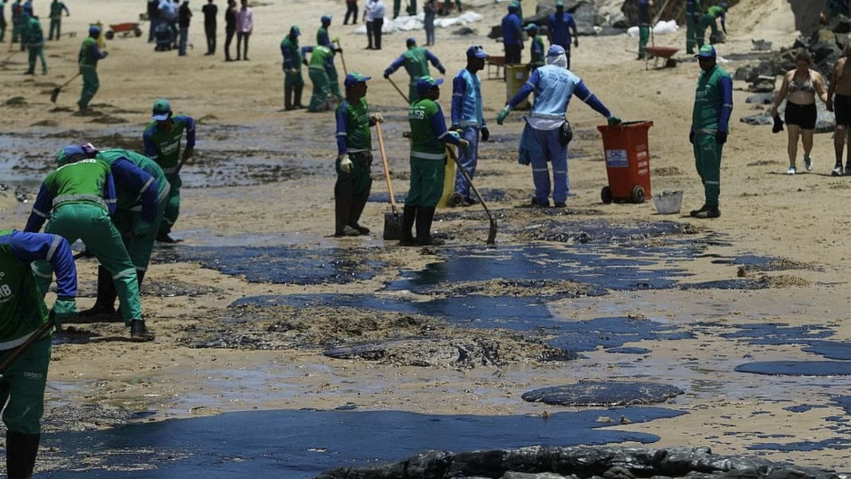 Mais de 35 toneladas de óleo foram retiradas do litoral baiano