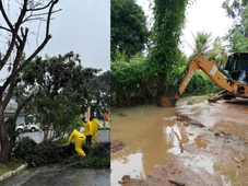 Imagem - Em alerta laranja de chuvas, cidade baiana tem desabamento de casas e 6 famílias desabrigadas