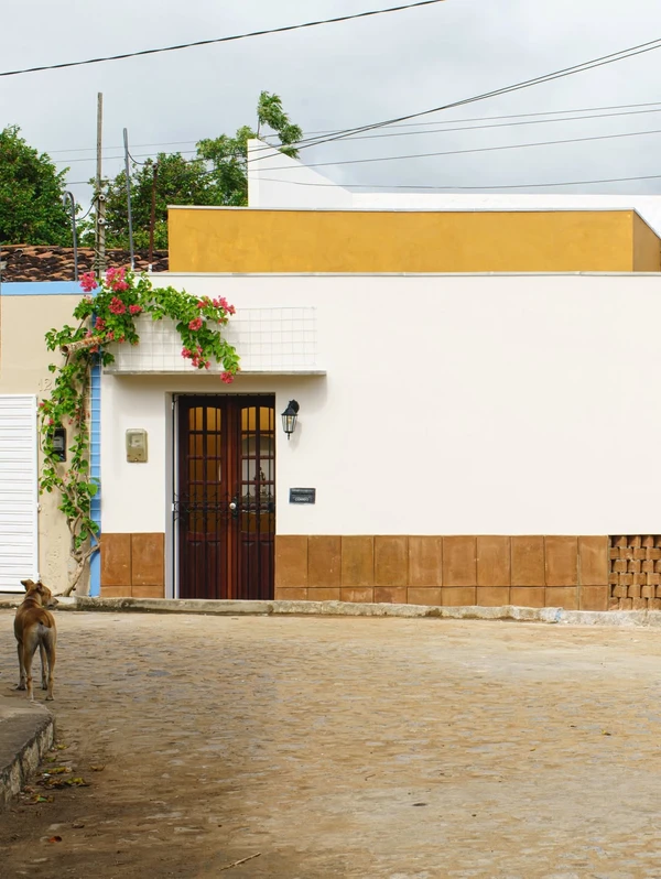 Casa de Mainha por Reprodução/zeoarquiteto