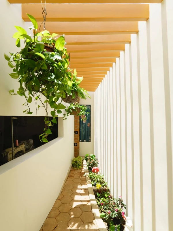 Casa de Mainha por Reprodução/zeoarquiteto