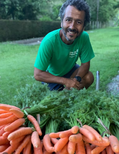 Marcos Palmeira recebe turistas em sua fazenda por Reprodução