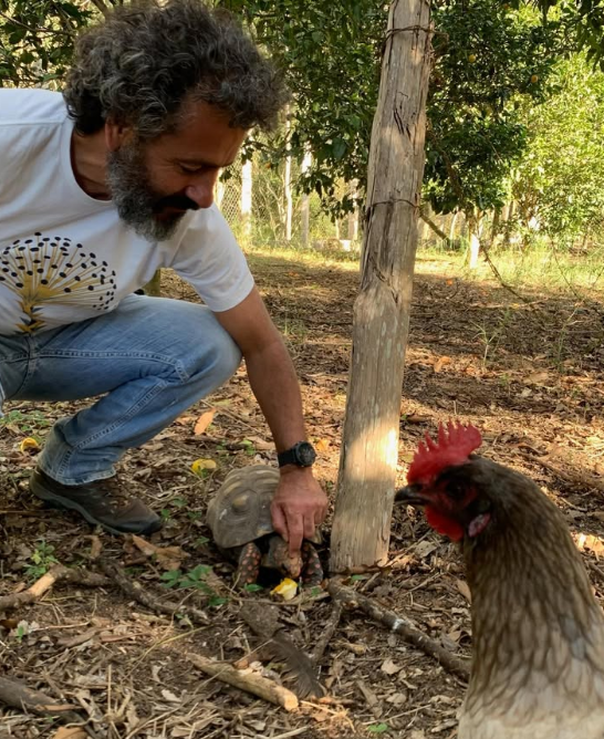Marcos Palmeira recebe turistas em sua fazenda por Reprodução