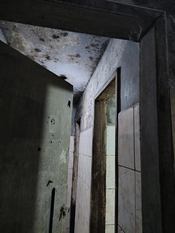 Mercado e padaria foram interditados por condições precárias de higiene por Divulgação