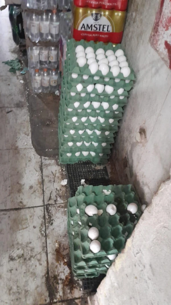 Mercado e padaria foram interditados por condições precárias de higiene por Divulgação