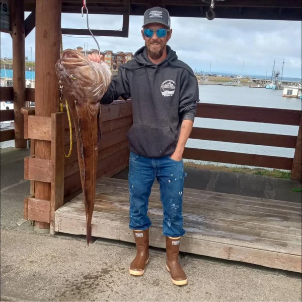 Todd Meadows por Reprodução