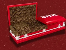 Imagem - Grife lança caixão de oncinha e produto esgota em minutos