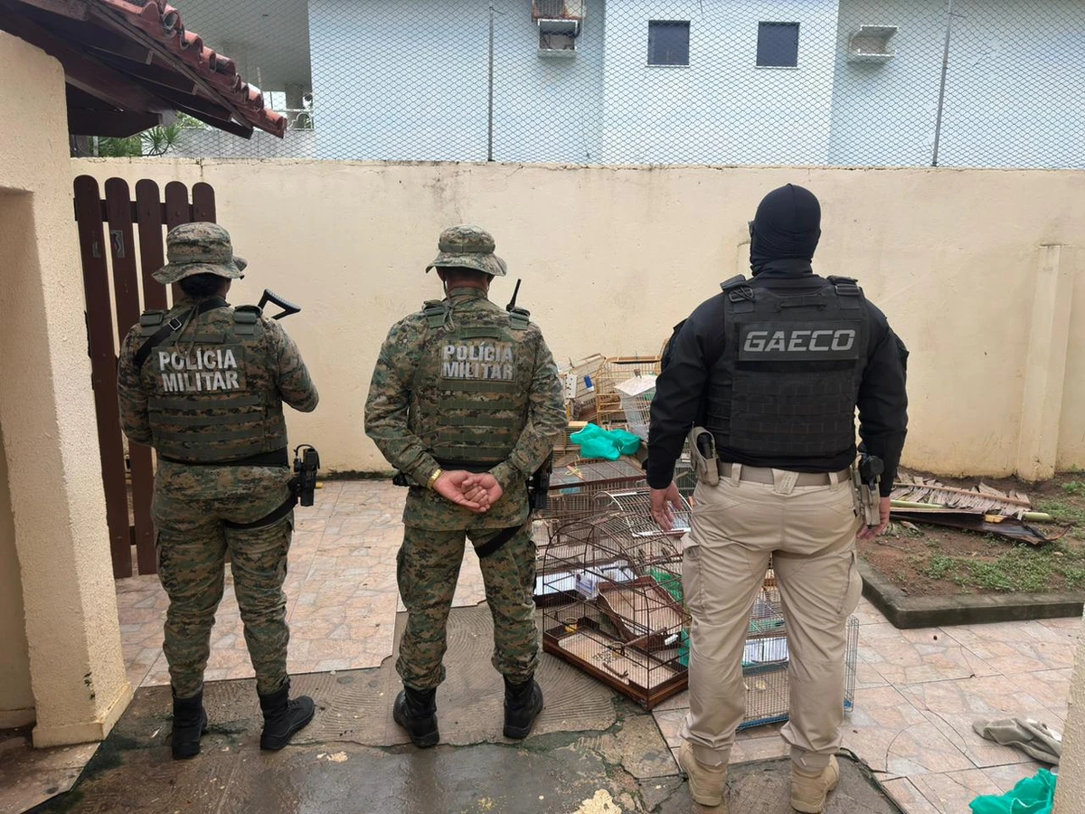 Prisão foi realizada na Região Metropolitana de Salvador