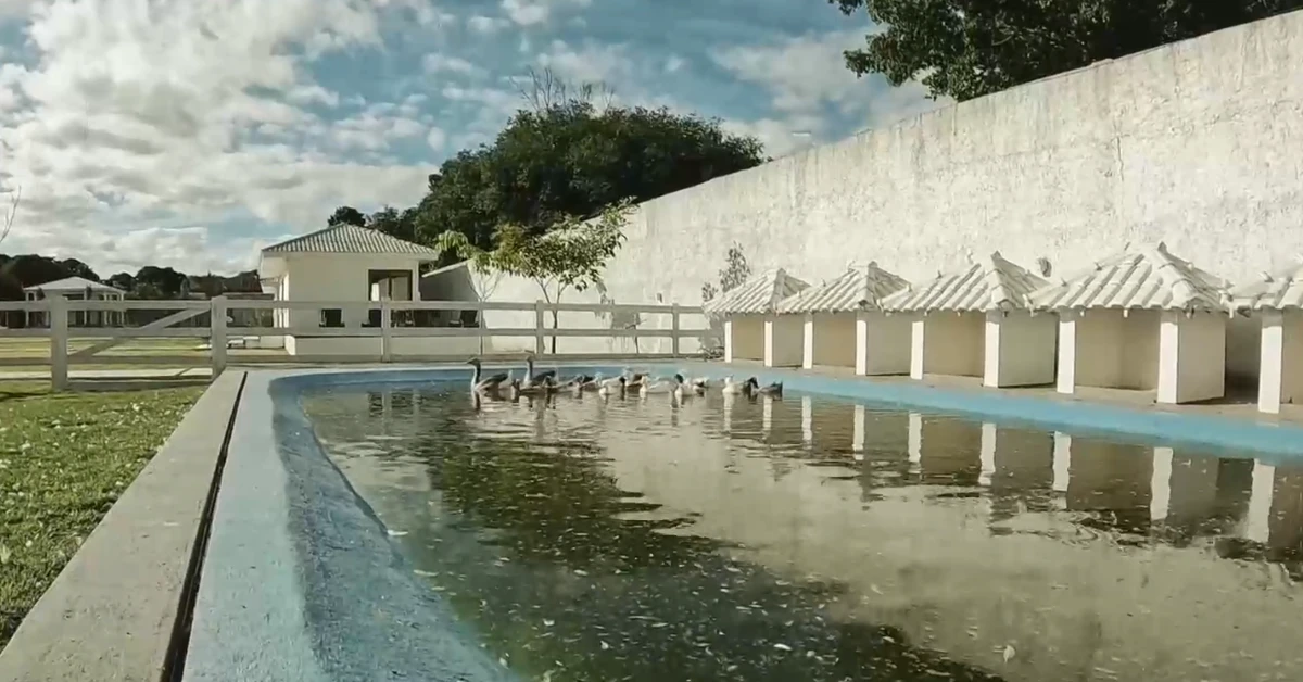 Sítio de Nicole Bahls por Reprodução/Instagram