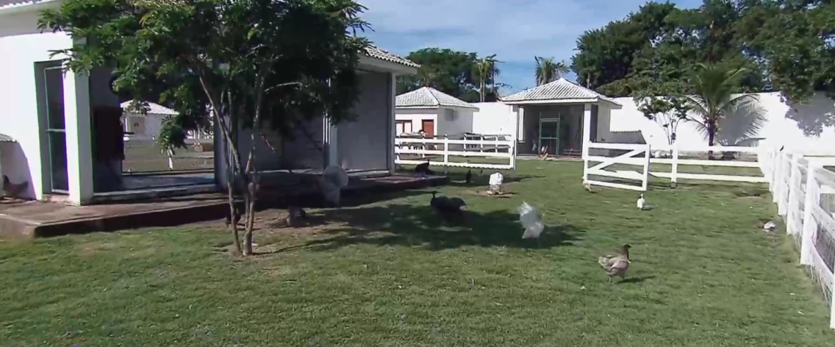 Sítio de Nicole Bahls por Reprodução/Instagram