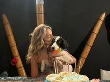 Imagem - Lindolfo, cão de Samira do BBB 26, viraliza nas redes, ganha prótese e estrela campanha publicitária