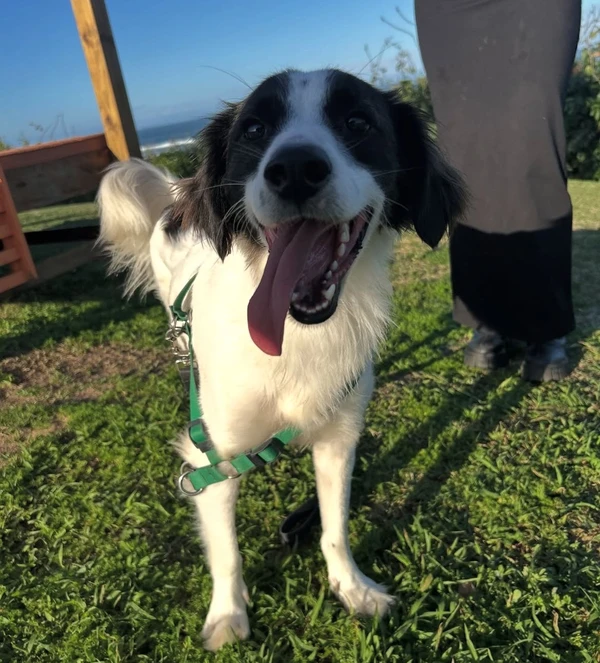 Lindolfo por Reprodução/ Instagram