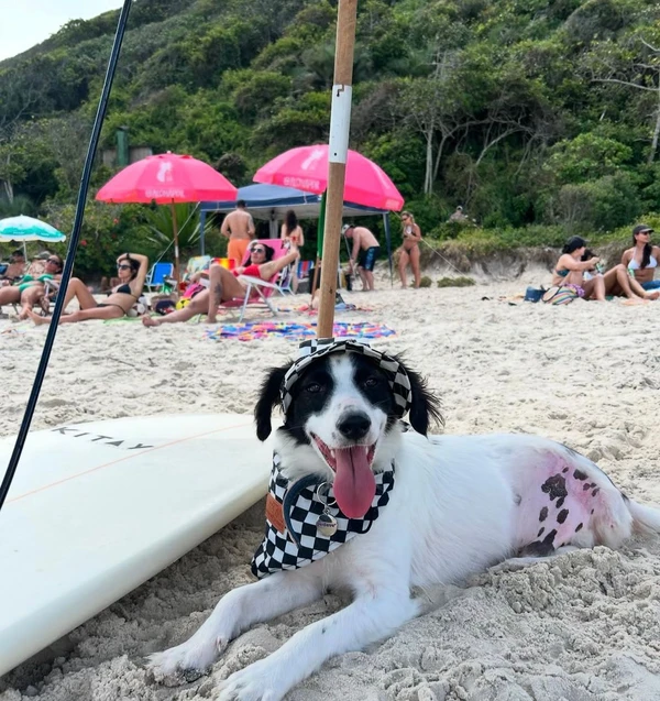 Lindolfo por Reprodução/ Instagram